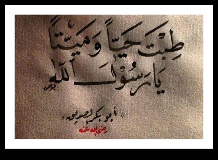 طبت حيا وميتا يارسول الله