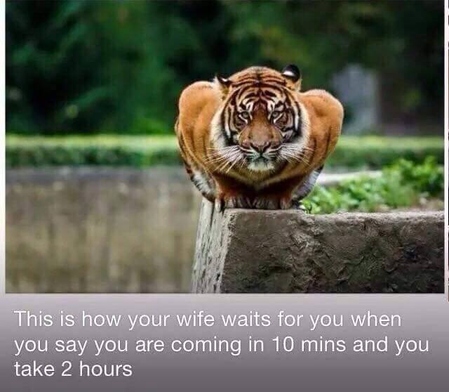 Waiting Home!