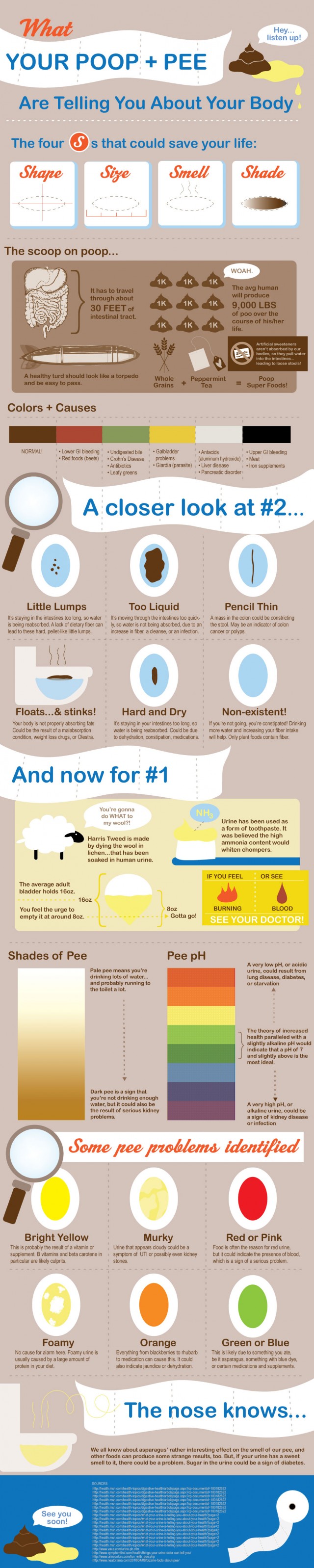 Your Urine & Poop Tells About the Body