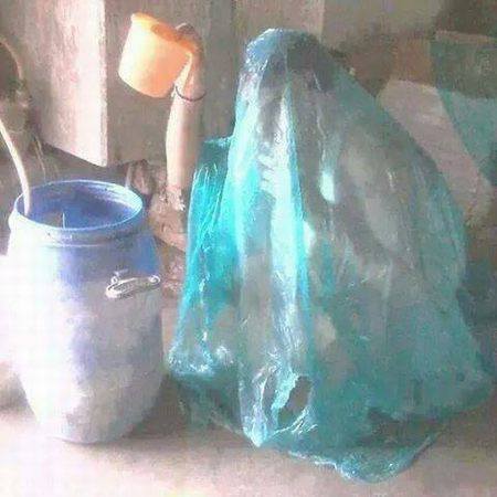 Winter Bath Solution