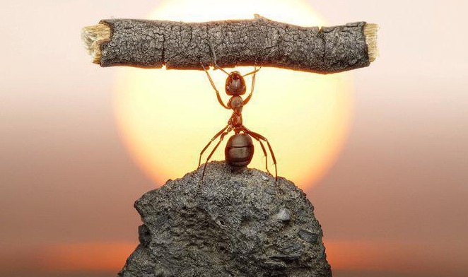 Make Things Possibe for You