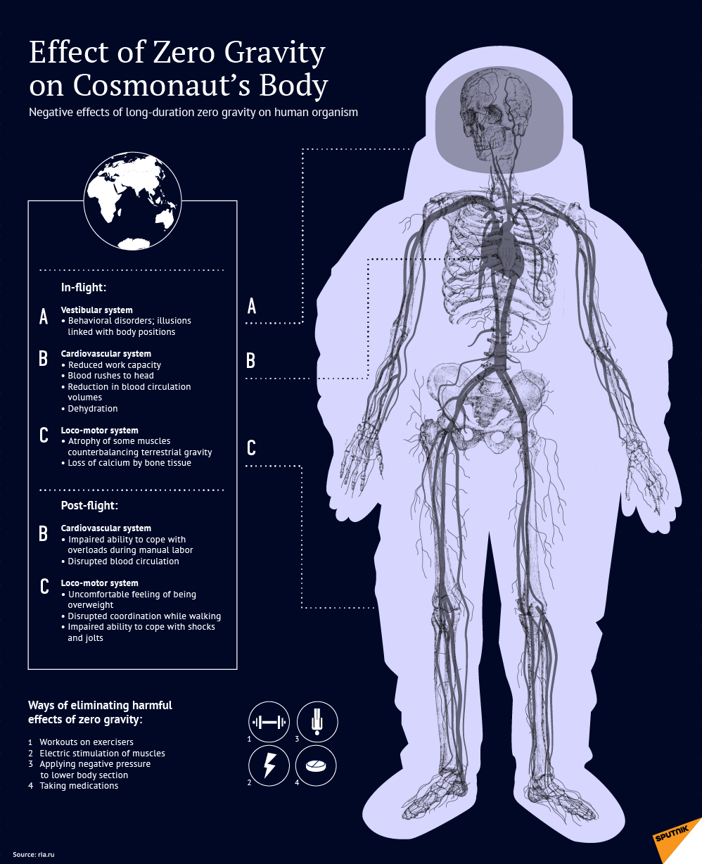 What is the Effect of Zero Gravity on Body in Space