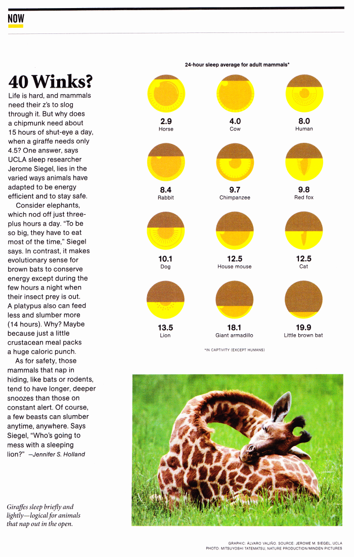 Averages  Sleep Hours of Mammals in a Day