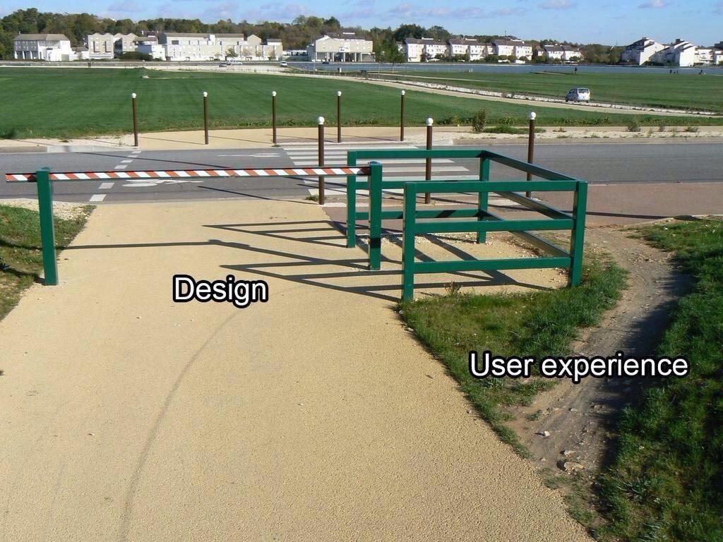 Professional's Design vs User Experience