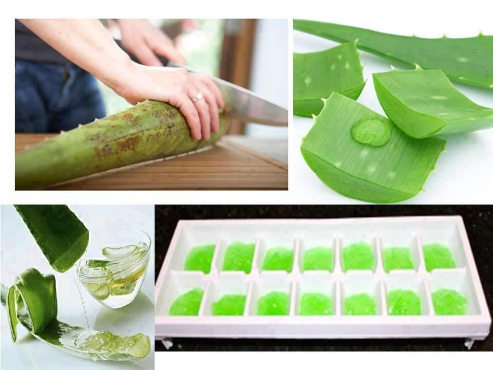 Health Benefits of Aloe Vera