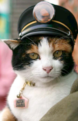 The Station Master Cat - Tama