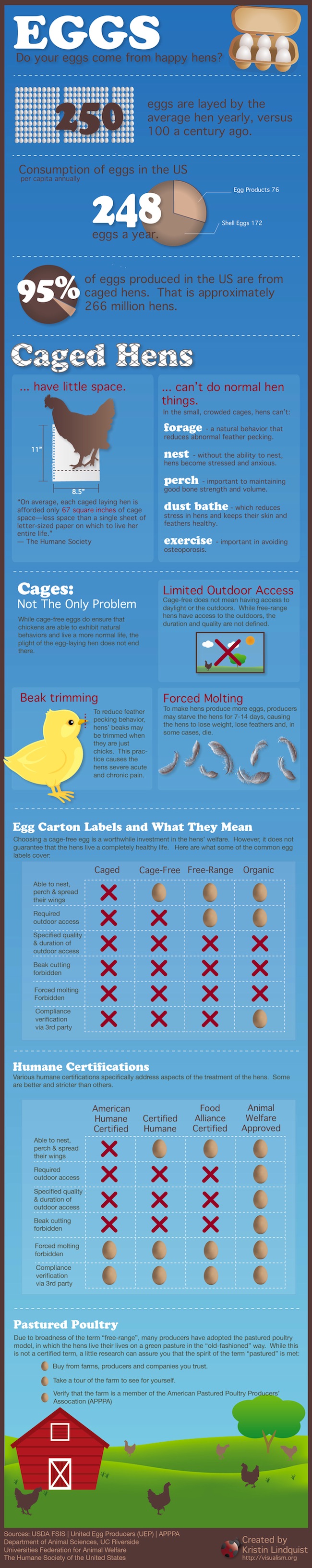 Where from your Eggs come to you? - The Inside Story of Eggs and Hens