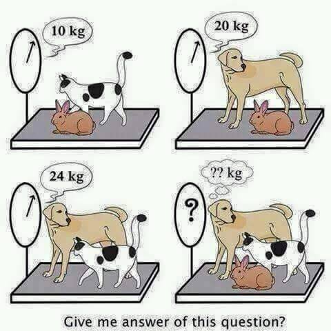 Can you Solve this Animals' Weight Question of Math?