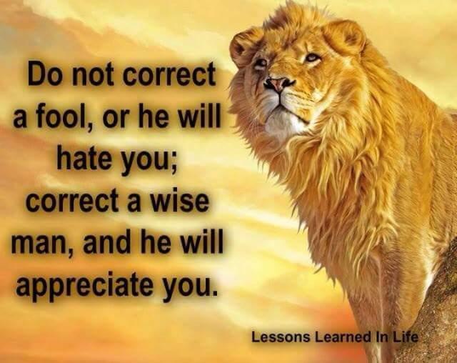 Who to Correct - Fool or Wise?