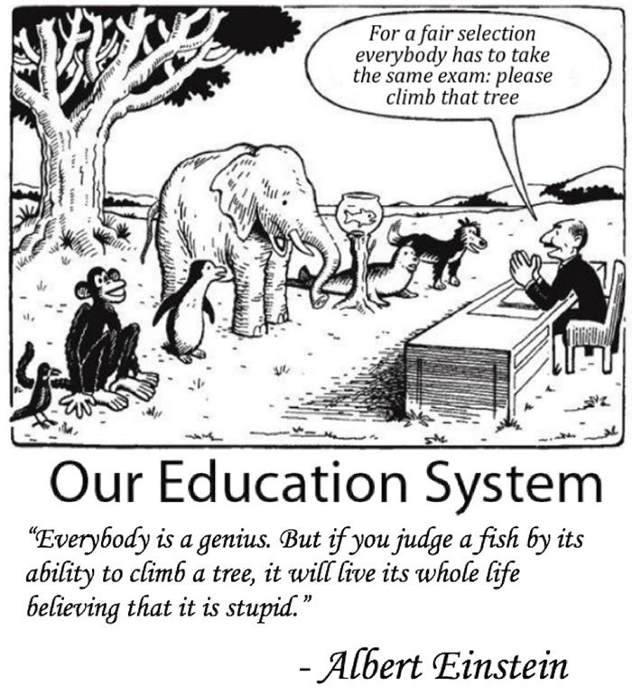 Our Education System