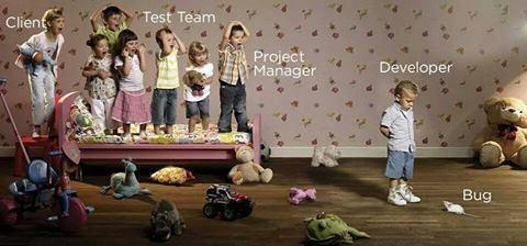When a Bug Appear in a Software!