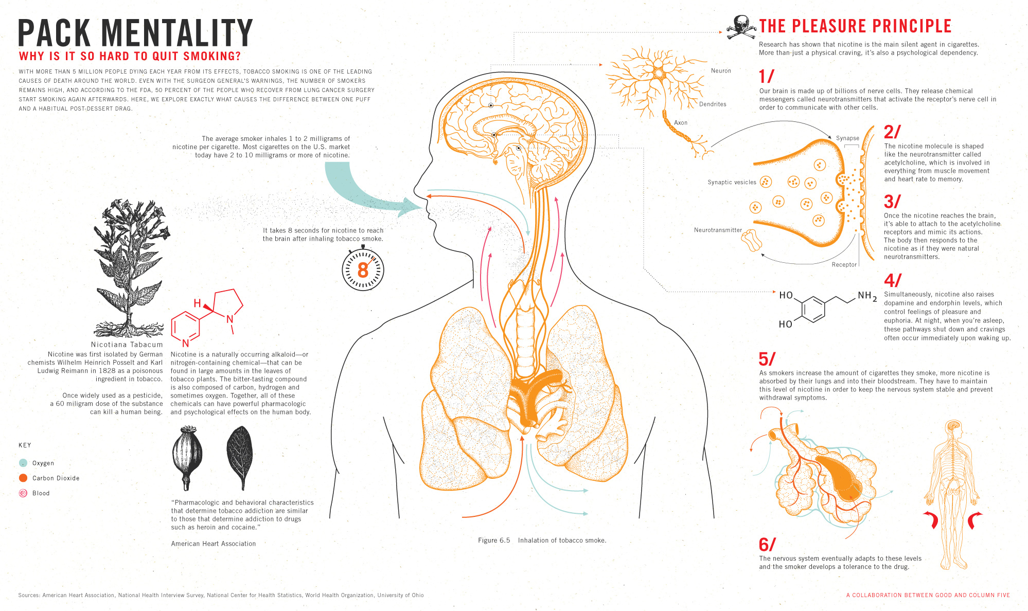 Why Quit Smoking is so Hard?