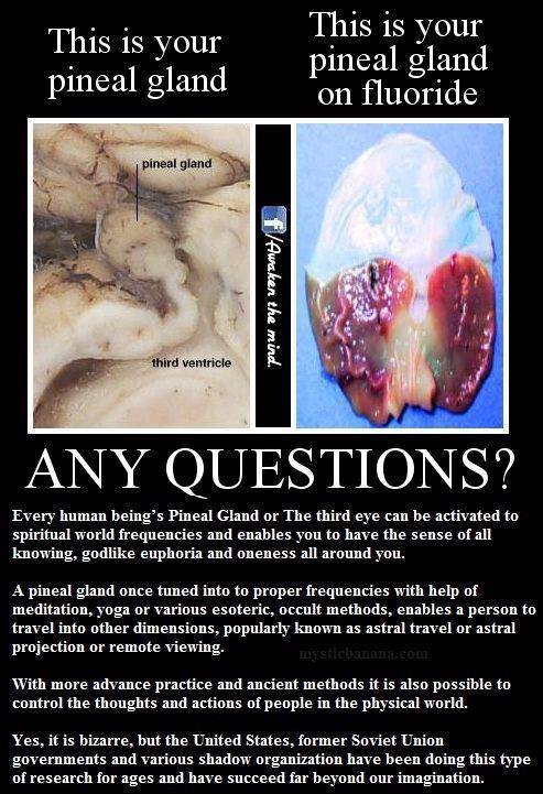 Fluoride and Pineal Gland