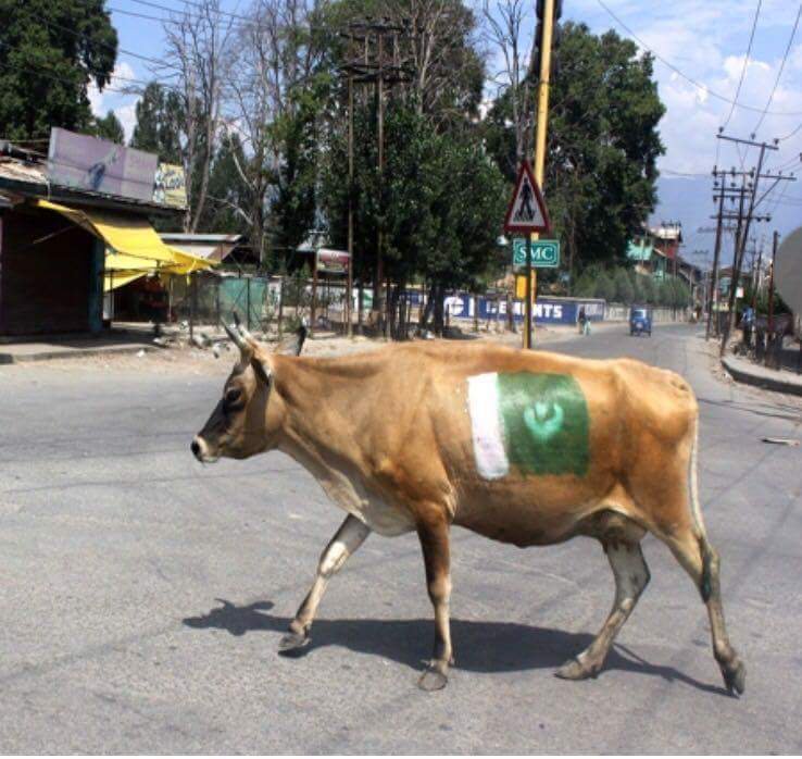Kashmiri people React over Pakistani flag ban