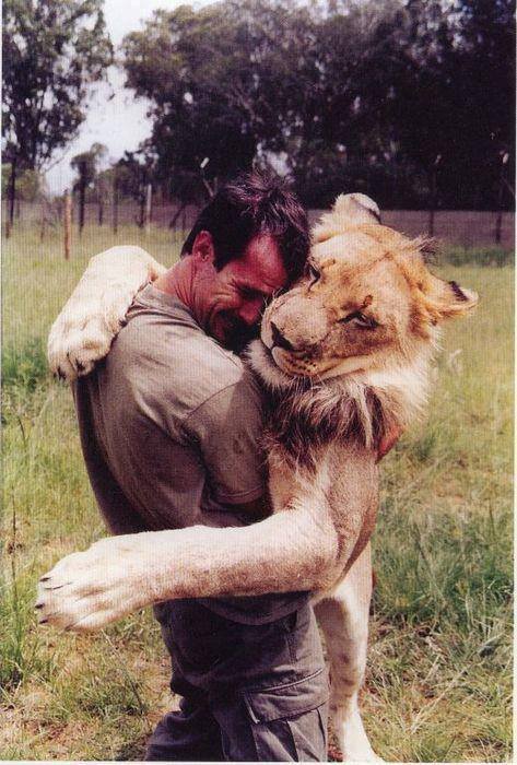 Lion Man True Love Story of 1960s