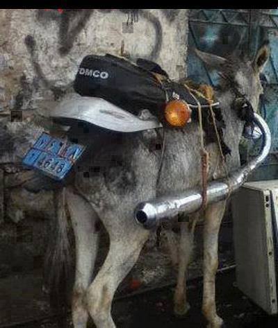 Donkey Brand Motorcycle
