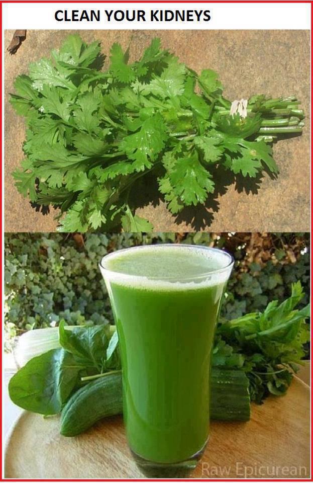 Home Remedy for Clean Kidneys