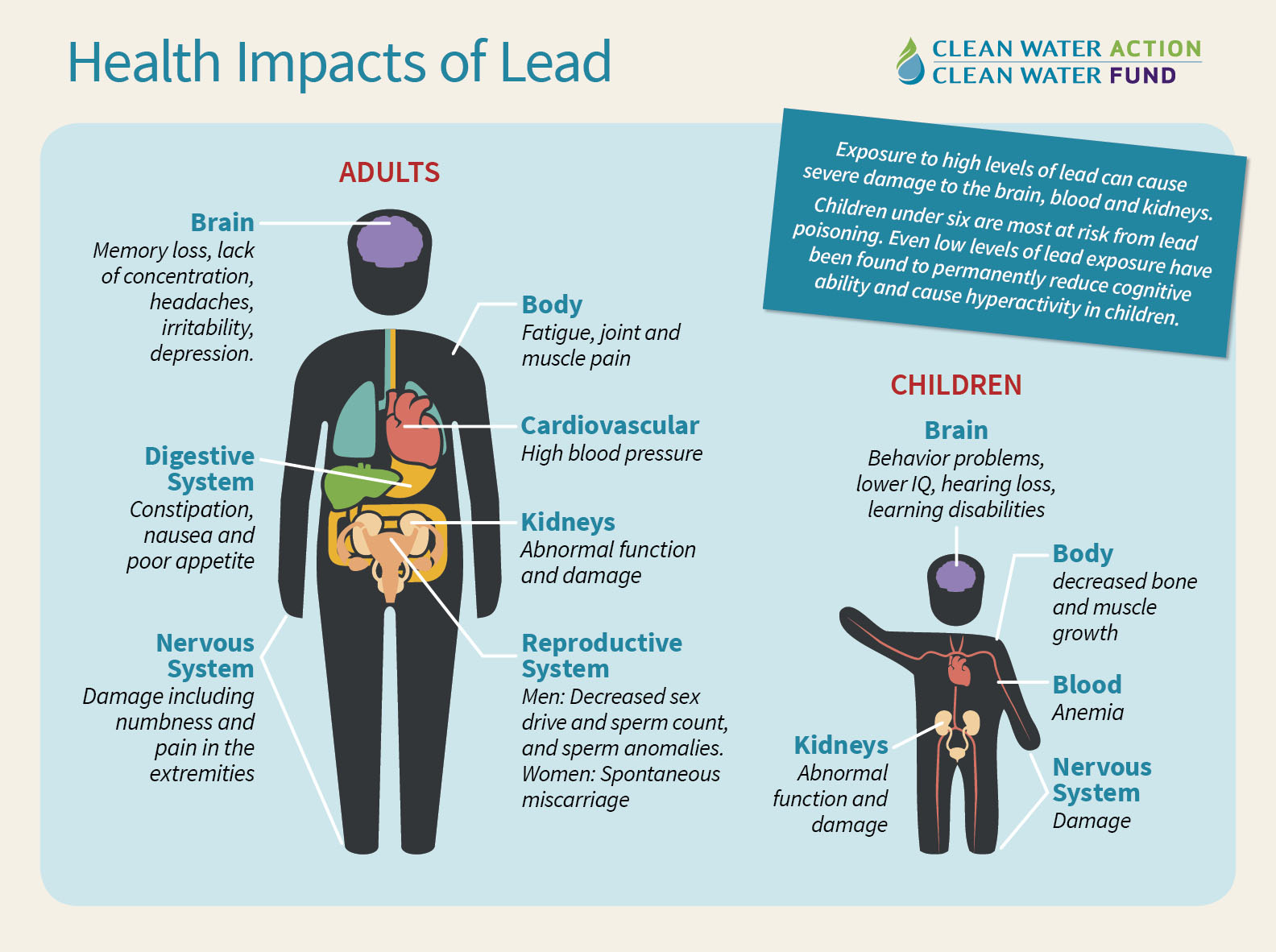 Lead in drinking water dangerous for body