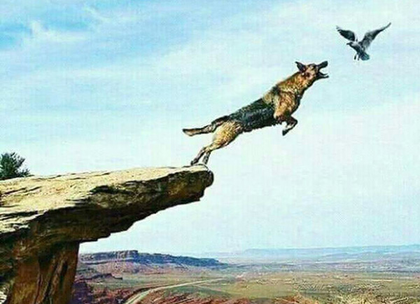 Picture Teach Three Lessons