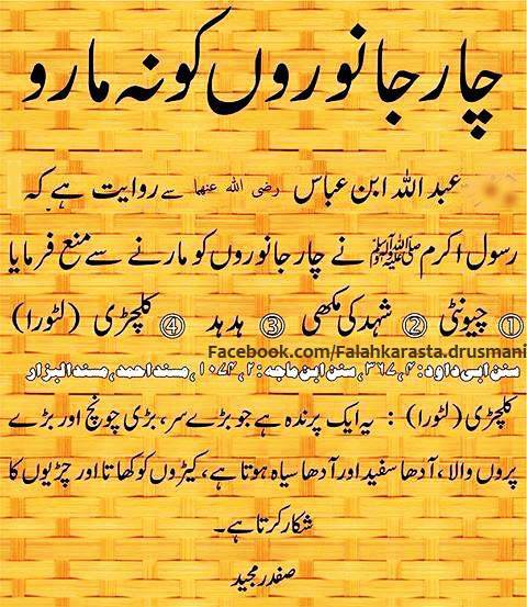 چار جانوروں کو نہ مارو - Never kill four animals