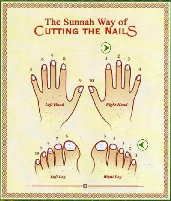 Nail Cutting Sunnah