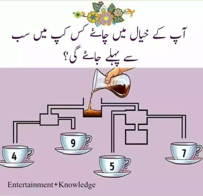 Cup and Tea puzzle