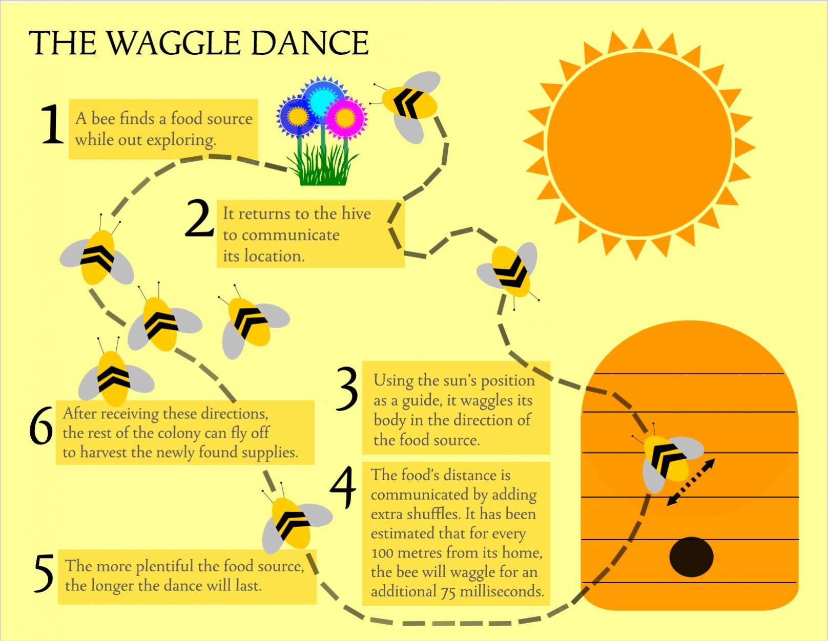 How Honey Bee Explore Food and Signal