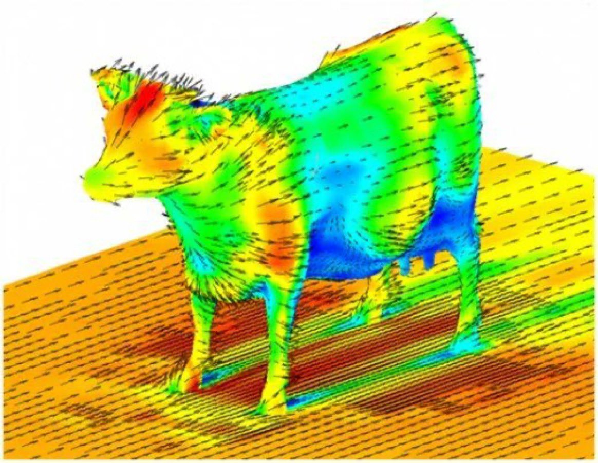 Aerodynamics of a Cow