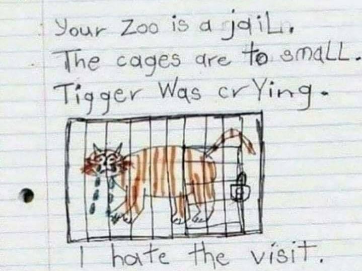 School Kid Feelings after Zoo Visit