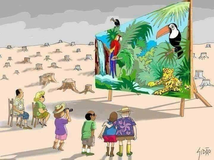 We Cut Forests but Love Wild Life