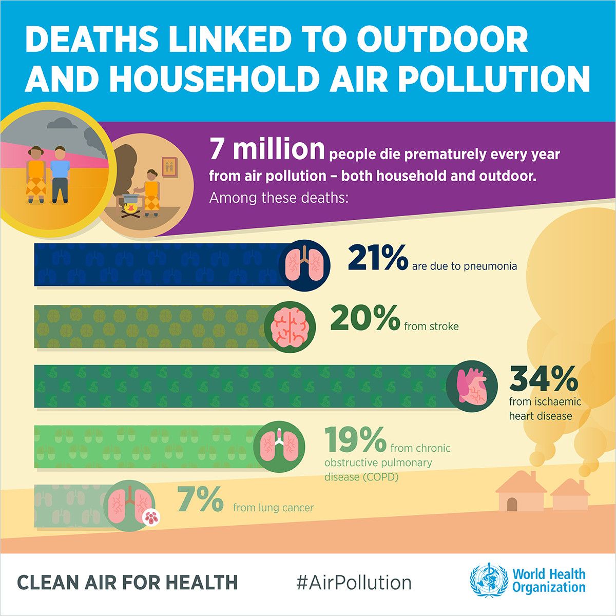How Air Pollution is Killing People