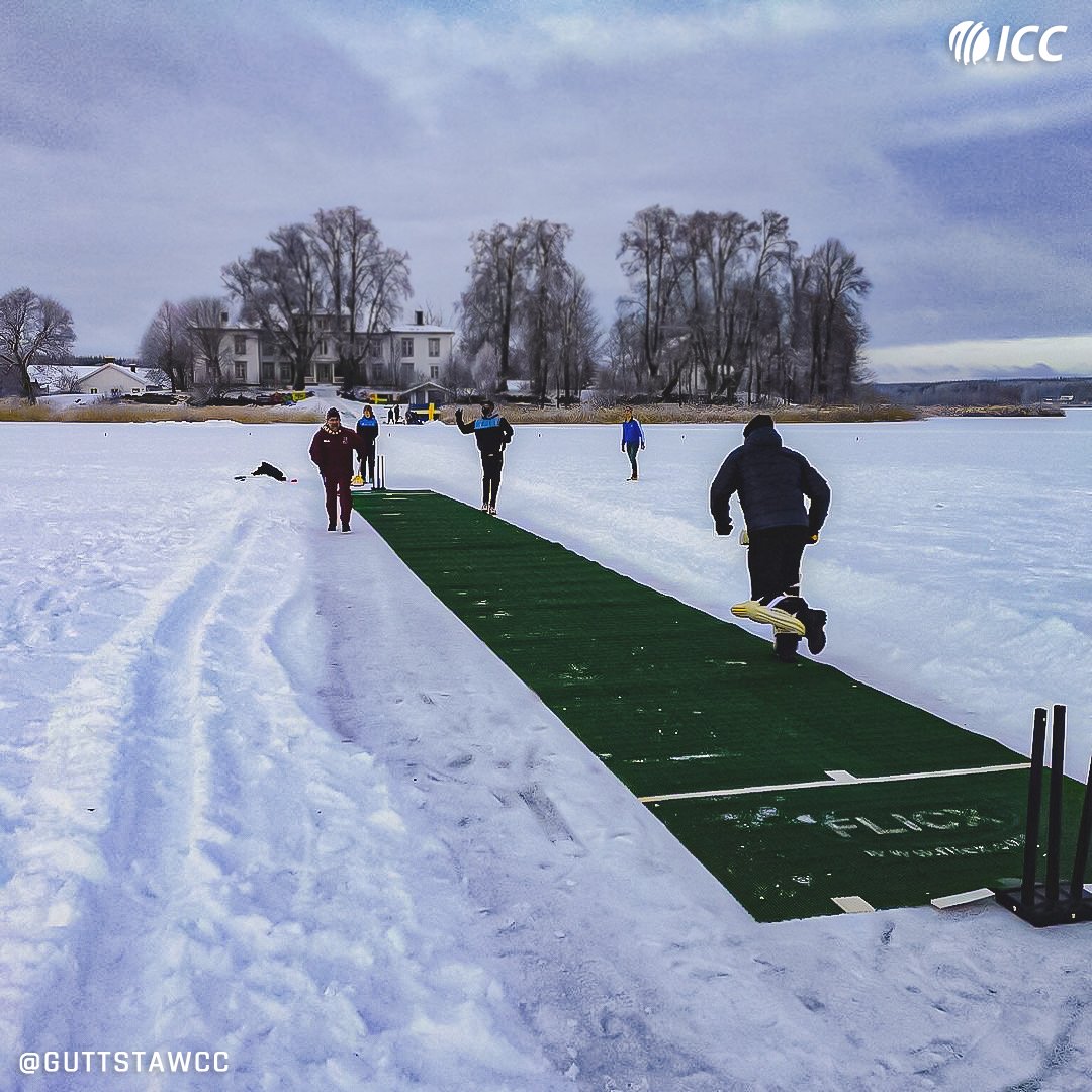 Cricket Craze in Snow
