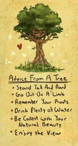 What to Learn from a Tree