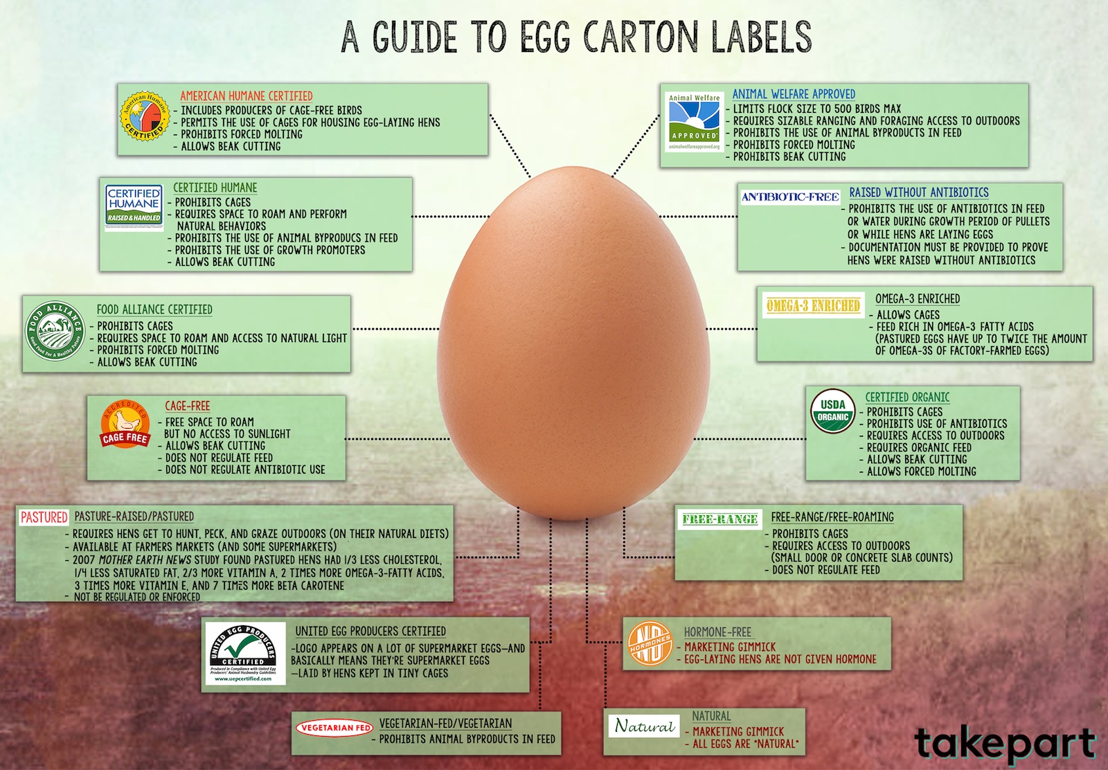 Know your Egg - What the Egg Carton Tells