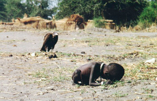 Vulture Waiting for Hungry Child To Die For Healthy Flight