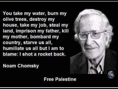 Noam Chomsky about Palestine and Israel conflict