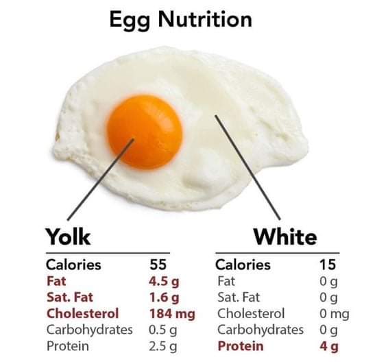 Egg White and Yolk Nutrition Differences