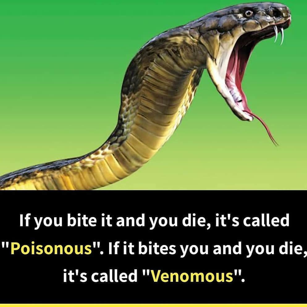 Poison and venom difference