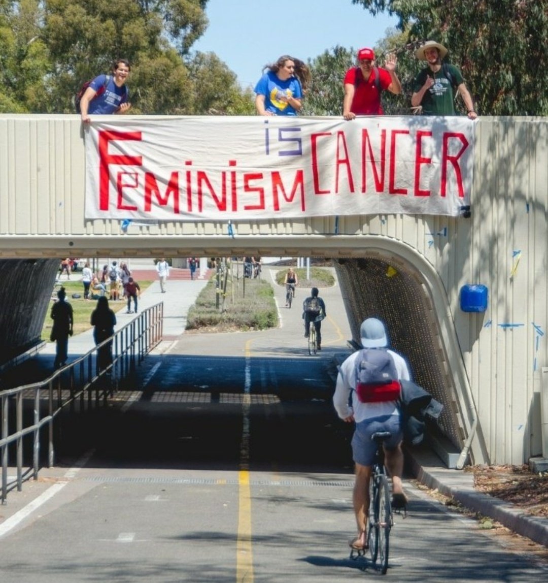 Feminism is proved to be cancer in society?