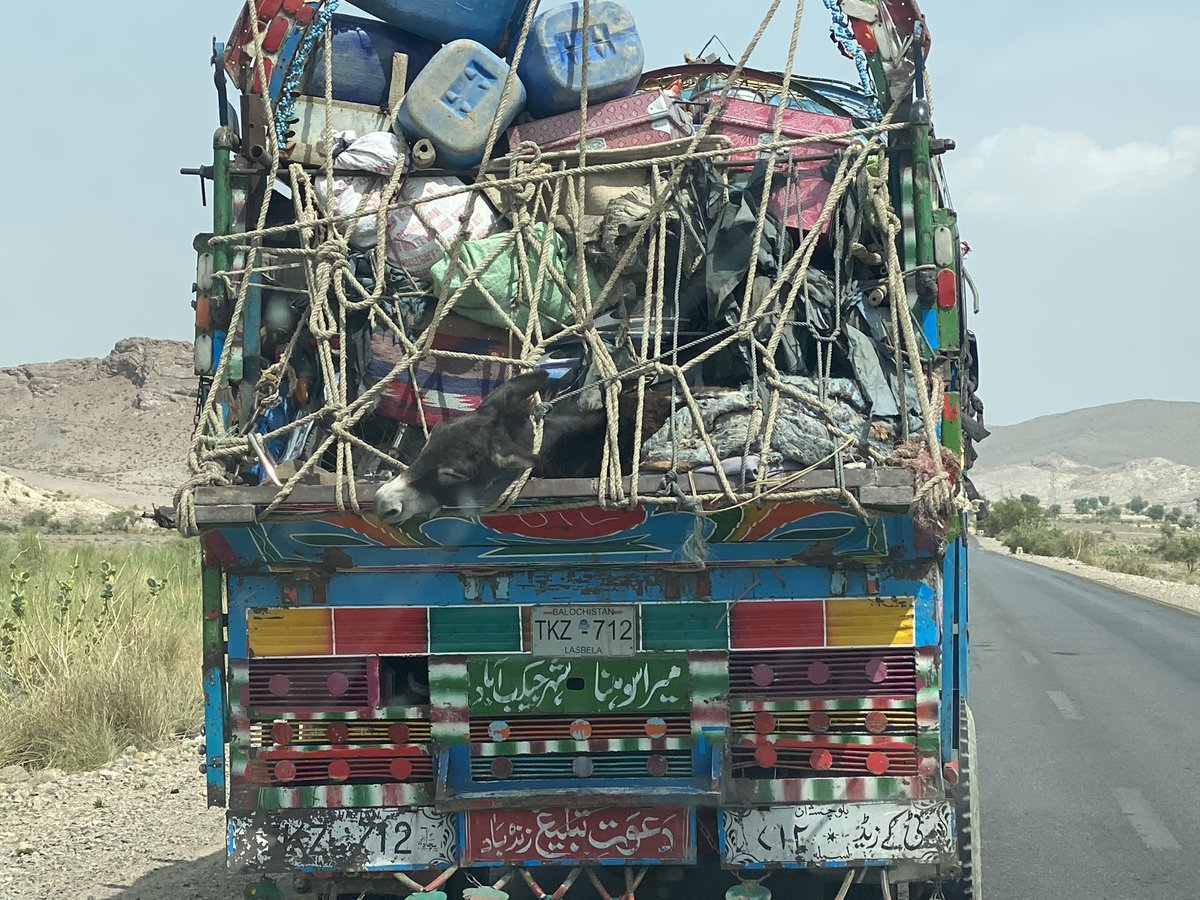 Donkey under the luggage burden in goods transport truck