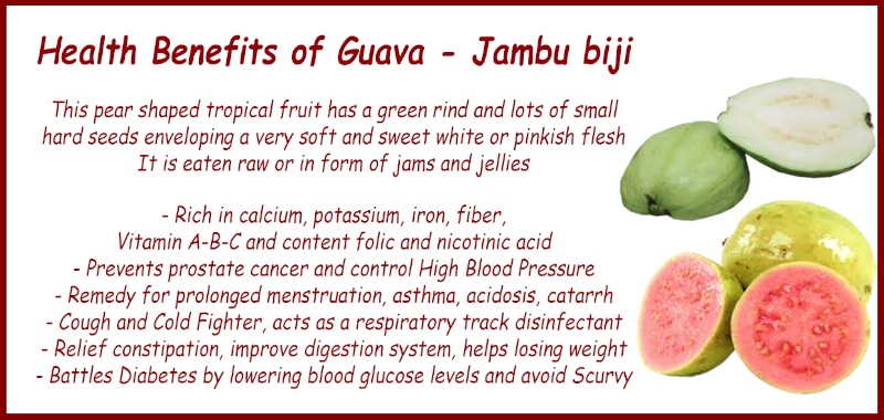 Health Benefits of Guava