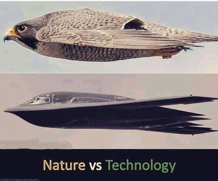 Technology inspired by nature